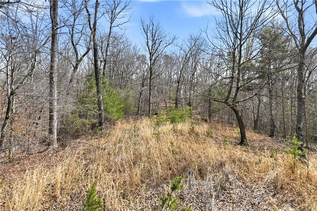 5260 Britt Whitmire Road, Gainesville, GA 30506