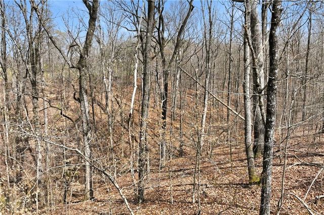 5260 Britt Whitmire Road, Gainesville, GA 30506