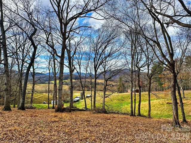 99999 Rabbit Ham Road, Leicester, NC 28748