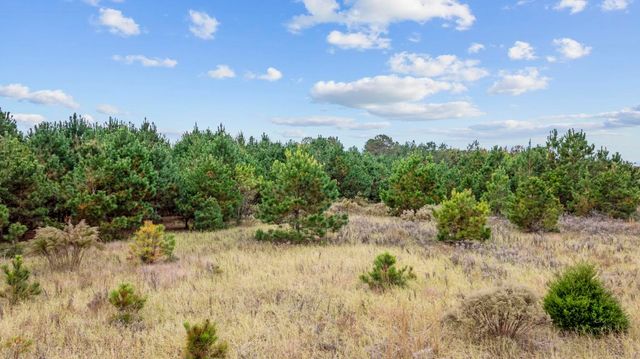 LOT 9 Creek Landing Rd, Nichols, SC 29581