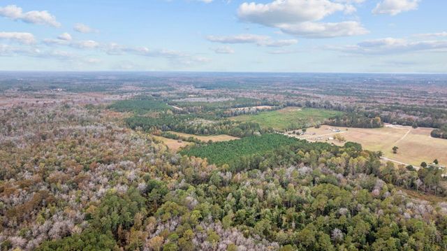 LOT 9 Creek Landing Rd, Nichols, SC 29581