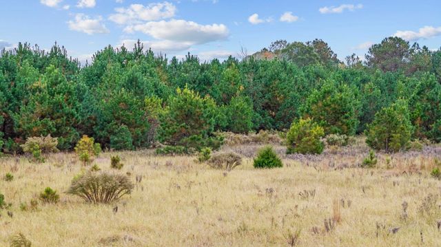LOT 9 Creek Landing Rd, Nichols, SC 29581