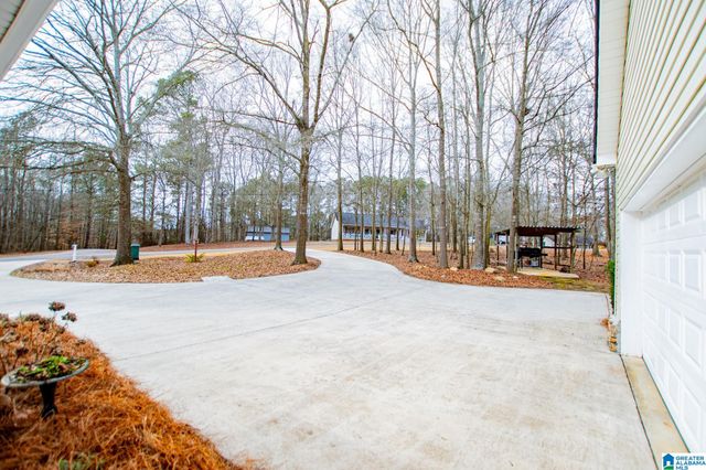 2 PINE HILL DRIVE, Ranburne, AL 36273