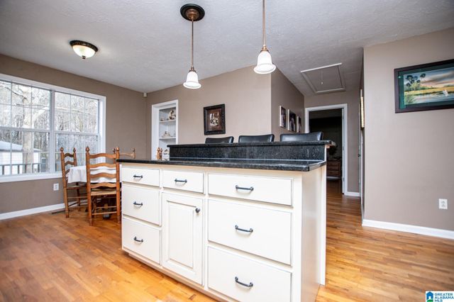 2 PINE HILL DRIVE, Ranburne, AL 36273