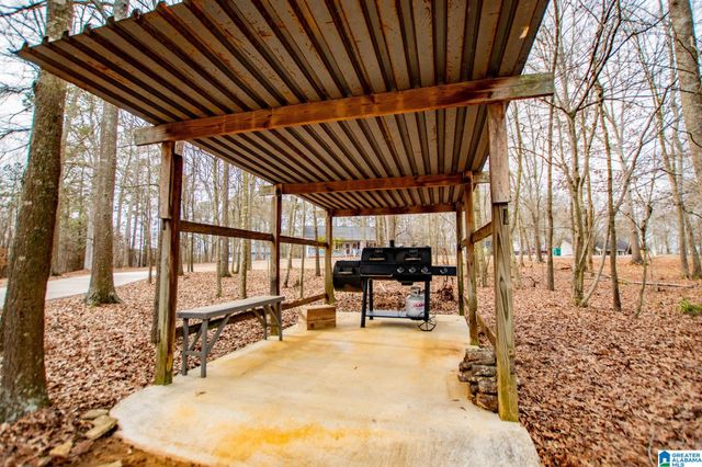 2 PINE HILL DRIVE, Ranburne, AL 36273