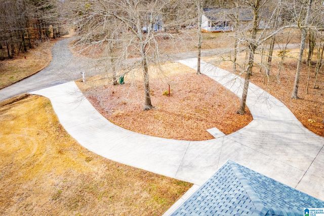 2 PINE HILL DRIVE, Ranburne, AL 36273