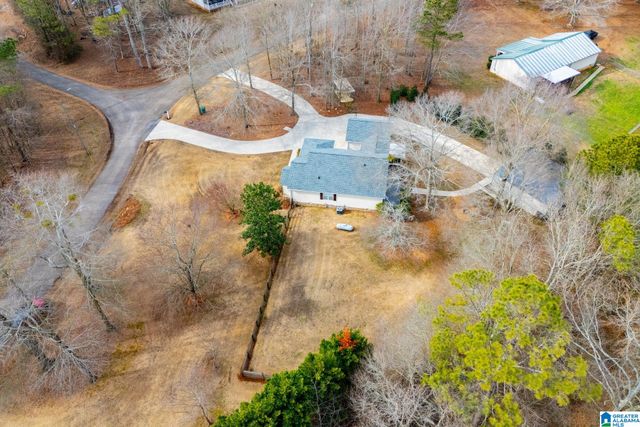 2 PINE HILL DRIVE, Ranburne, AL 36273