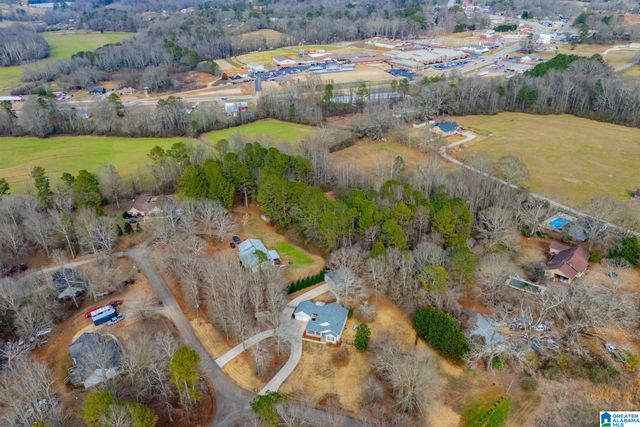 2 PINE HILL DRIVE, Ranburne, AL 36273