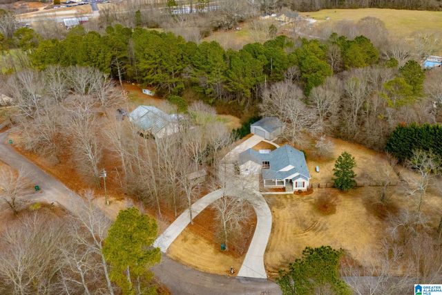 2 PINE HILL DRIVE, Ranburne, AL 36273