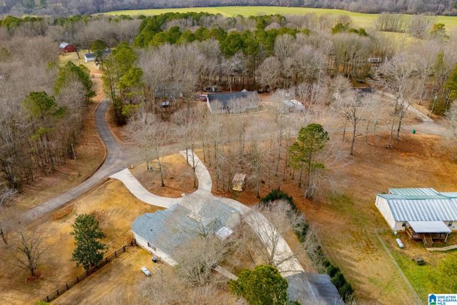 2 PINE HILL DRIVE, Ranburne, AL 36273