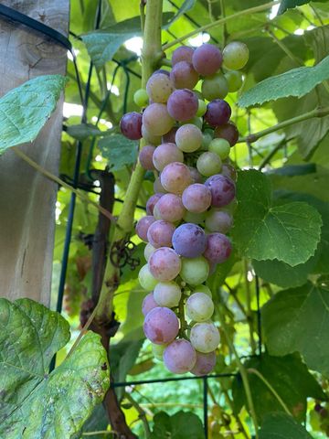 1735 ASHBOURNE RD, Elkins Park, PA 19027