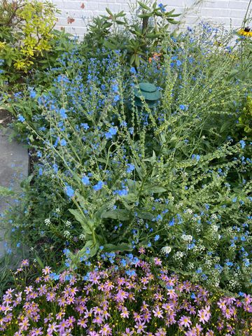 1735 ASHBOURNE RD, Elkins Park, PA 19027