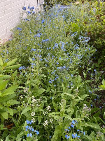 1735 ASHBOURNE RD, Elkins Park, PA 19027