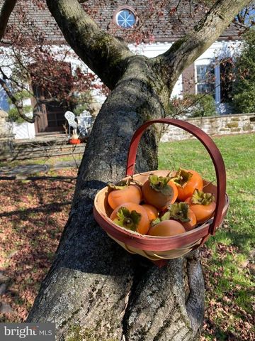 1735 ASHBOURNE RD, Elkins Park, PA 19027