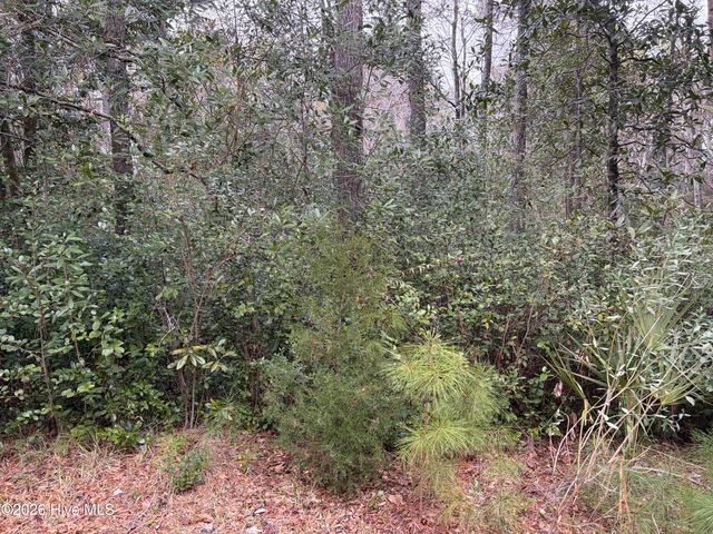 1307 Burnett Road, Wilmington, NC 28409