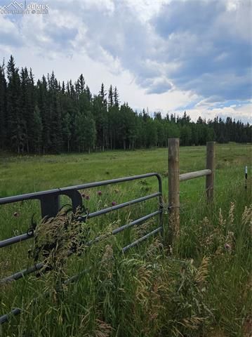 702 Lake Drive, Divide, CO 80814