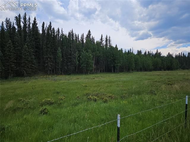 702 Lake Drive, Divide, CO 80814