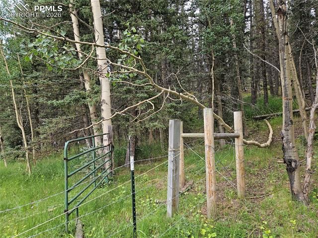 702 Lake Drive, Divide, CO 80814