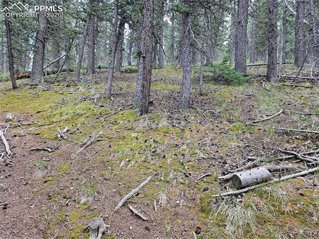702 Lake Drive, Divide, CO 80814