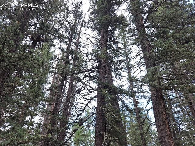 702 Lake Drive, Divide, CO 80814