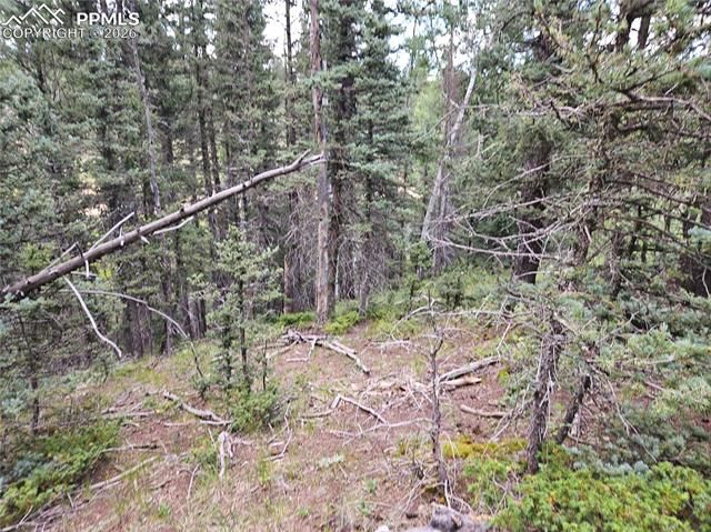 702 Lake Drive, Divide, CO 80814