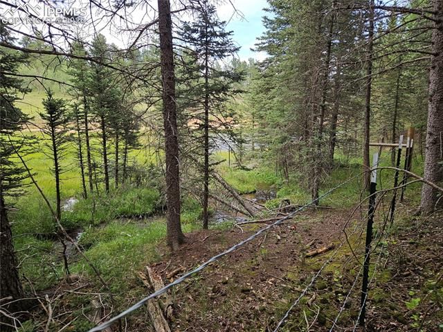702 Lake Drive, Divide, CO 80814