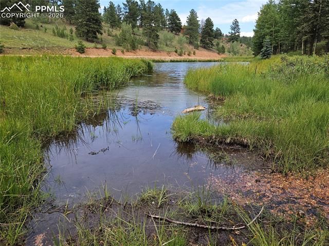 702 Lake Drive, Divide, CO 80814