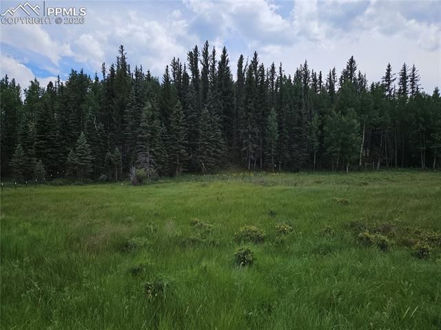 702 Lake Drive, Divide, CO 80814