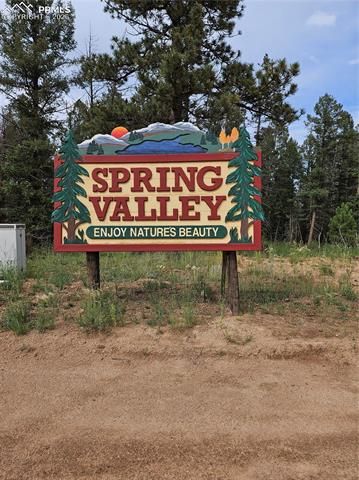 702 Lake Drive, Divide, CO 80814