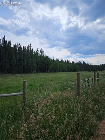 702 Lake Drive, Divide, CO 80814