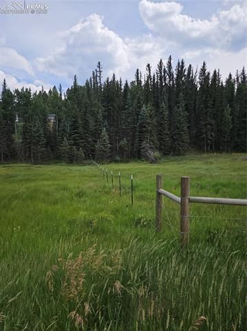702 Lake Drive, Divide, CO 80814