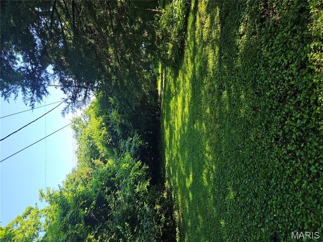 739 Hurstgreen Road, Webster Groves, MO 63119