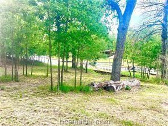 TBD County Road 908, Jewett, TX 75846