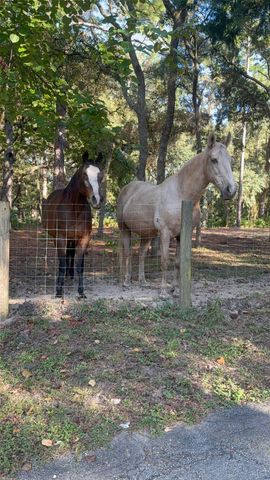 3050 E Possum Ct, Inverness, FL 34452