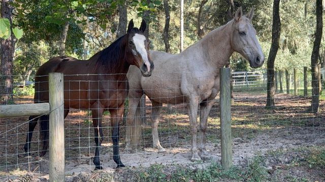 3050 E Possum Ct, Inverness, FL 34452