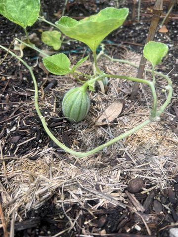 3050 E Possum Ct, Inverness, FL 34452