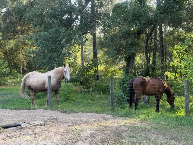 3050 E Possum Ct, Inverness, FL 34452