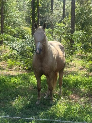 3050 E Possum Ct, Inverness, FL 34452