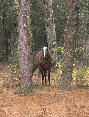 3050 E Possum Ct, Inverness, FL 34452