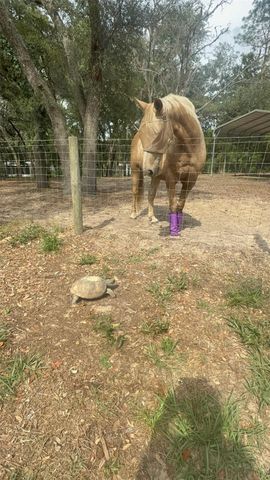 3050 E Possum Ct, Inverness, FL 34452