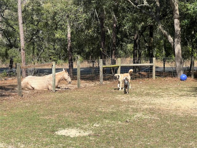 3050 E Possum Ct, Inverness, FL 34452