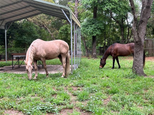 3050 E Possum Ct, Inverness, FL 34452