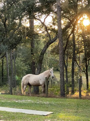3050 E Possum Ct, Inverness, FL 34452