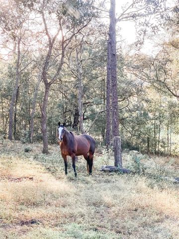 3050 E Possum Ct, Inverness, FL 34452