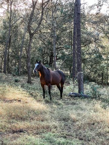 3050 E Possum Ct, Inverness, FL 34452