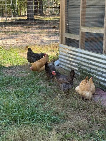 3050 E Possum Ct, Inverness, FL 34452