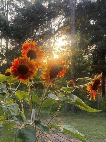 3050 E Possum Ct, Inverness, FL 34452