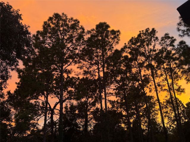 3050 E Possum Ct, Inverness, FL 34452