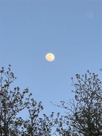 3050 E Possum Ct, Inverness, FL 34452