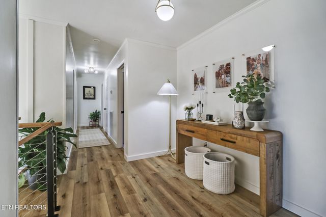 109 Scenic Hill Drive, Spring City, TN 37381